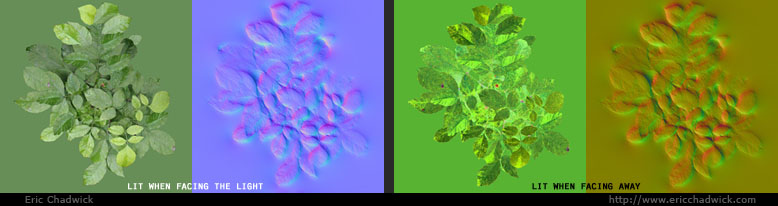 Tree Light-Scattering Maps